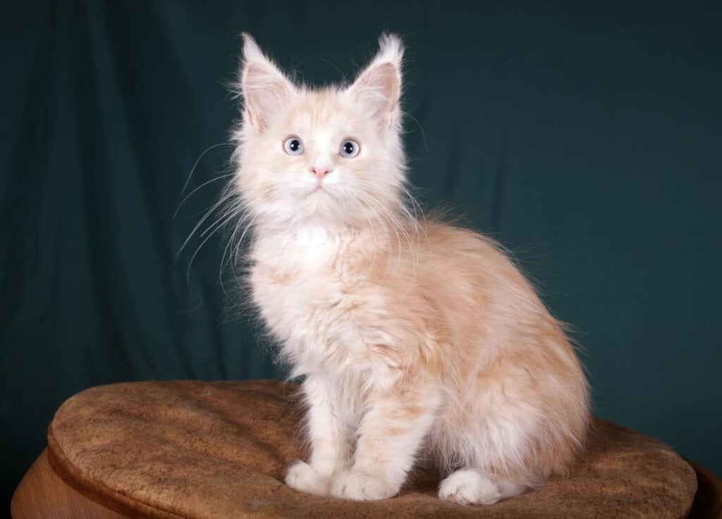 Photo 2026 02 06 21 07 20 2