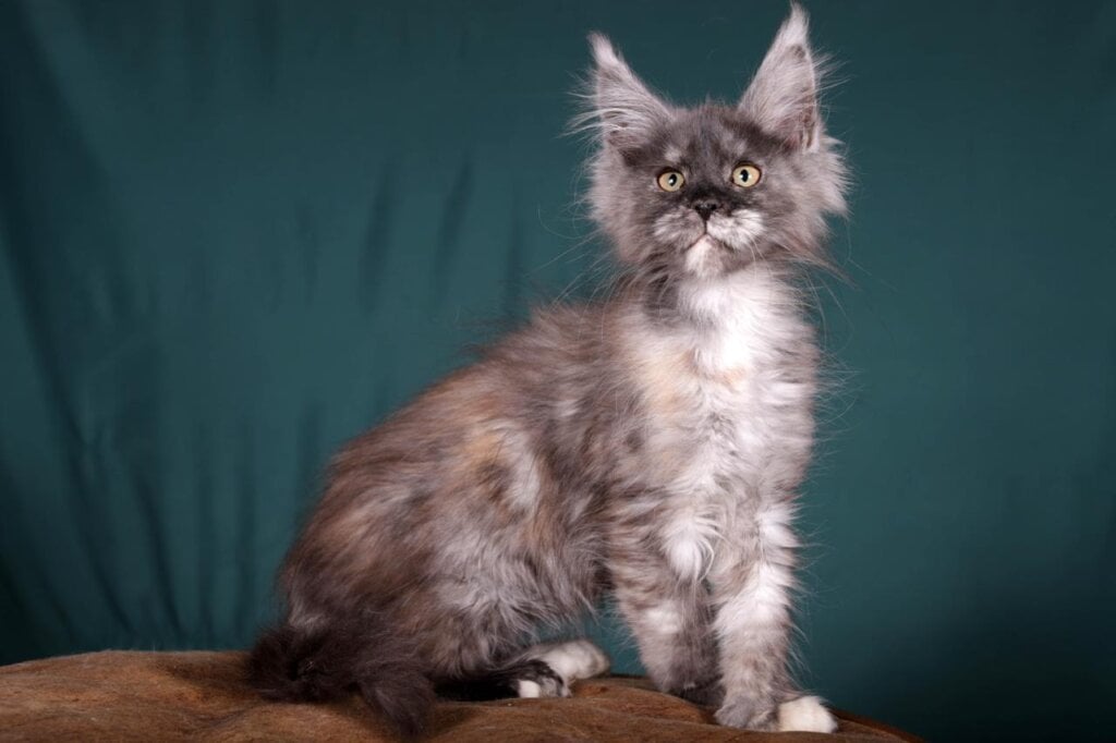 Photo 2026 02 06 21 25 28