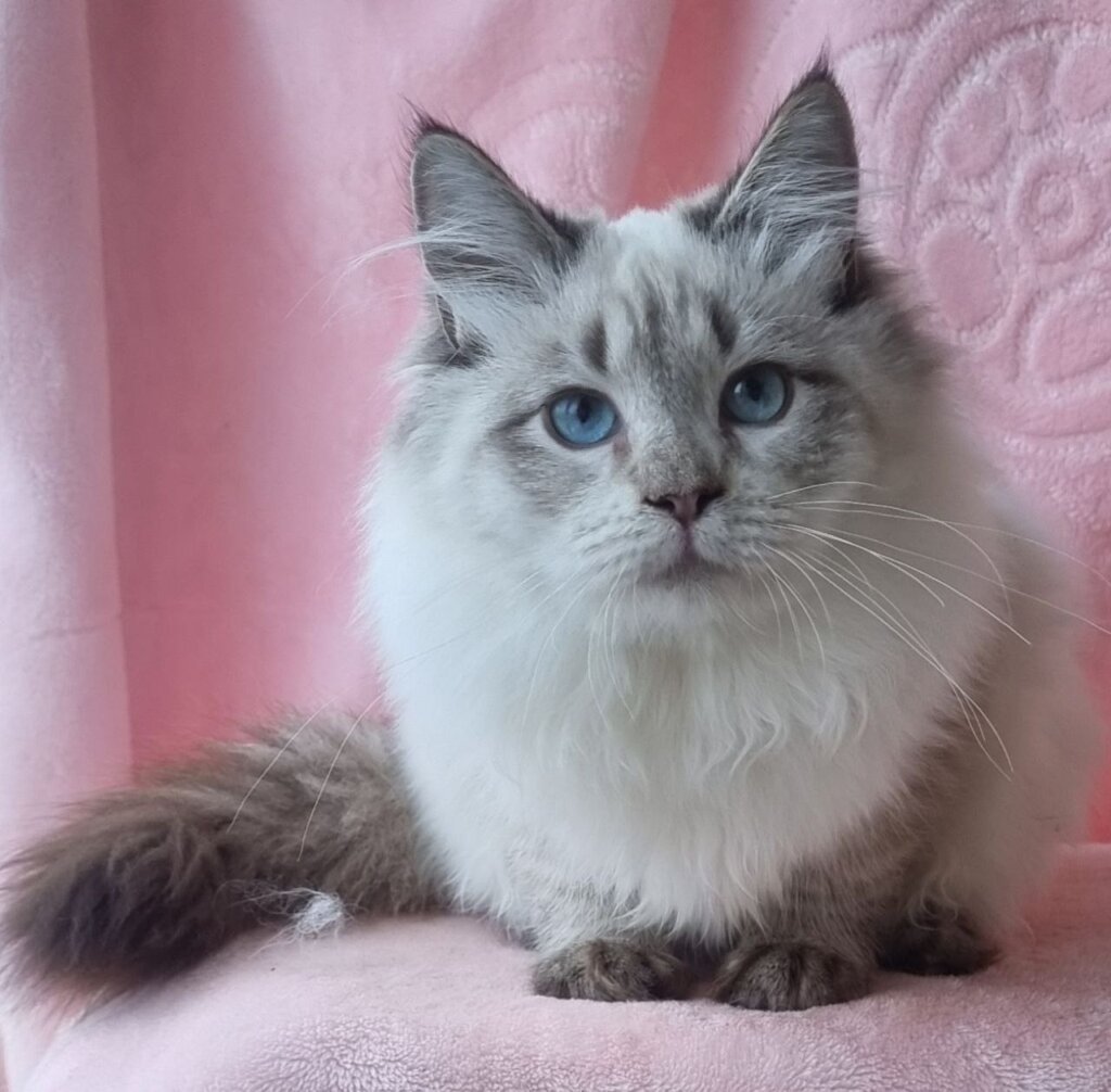 Photo 2026 02 07 13 59 20