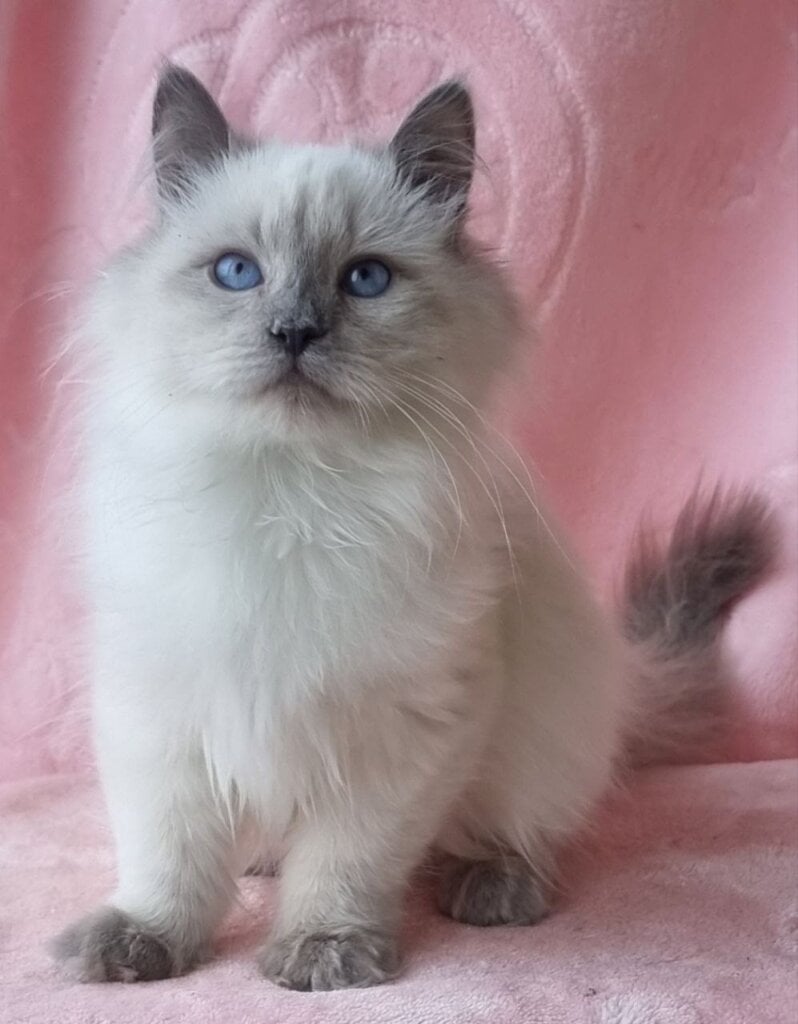 Photo 2026 02 07 13 59 31 2