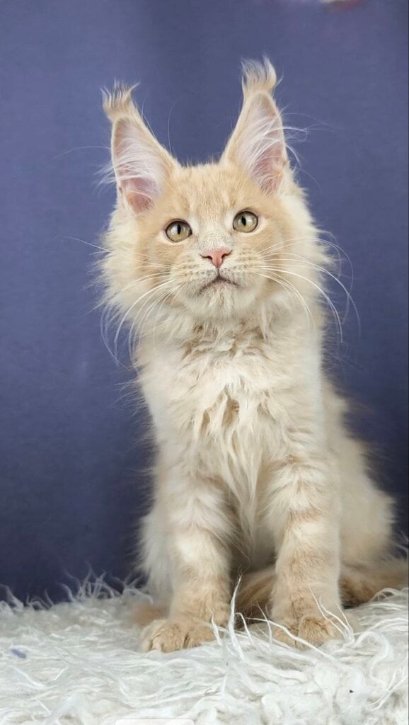 Photo 2026 02 08 08 18 35