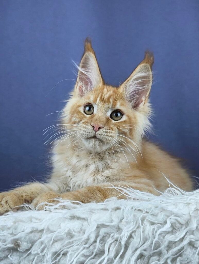 Photo 2026 02 08 08 21 44