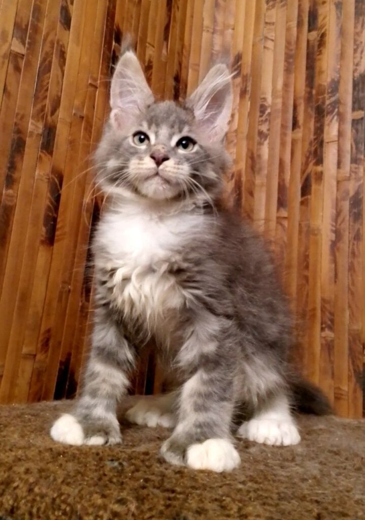 Photo 2026 02 08 14 00 18