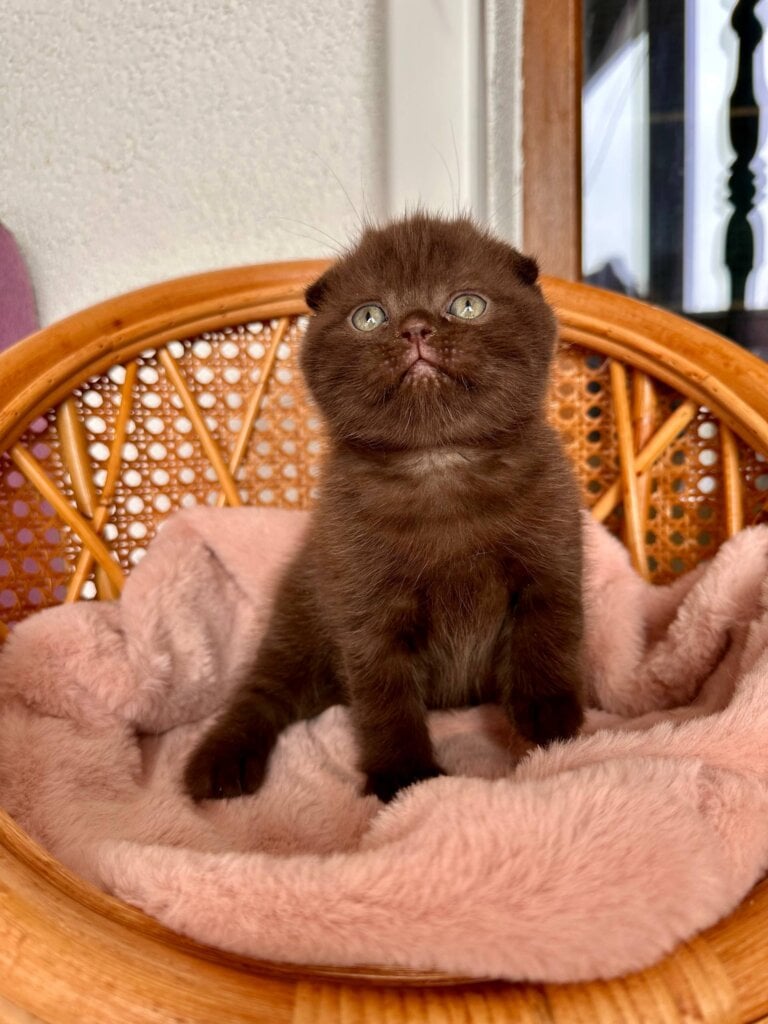 Photo 2026 02 08 15 48 32