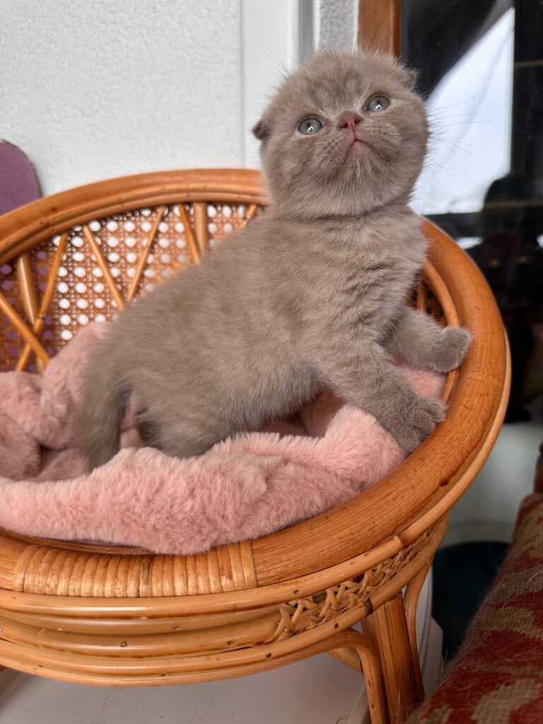 Photo 2026 02 08 15 54 26