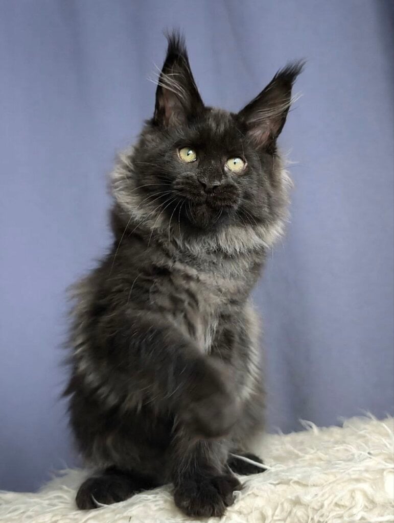 Photo 2026 02 08 15 57 29