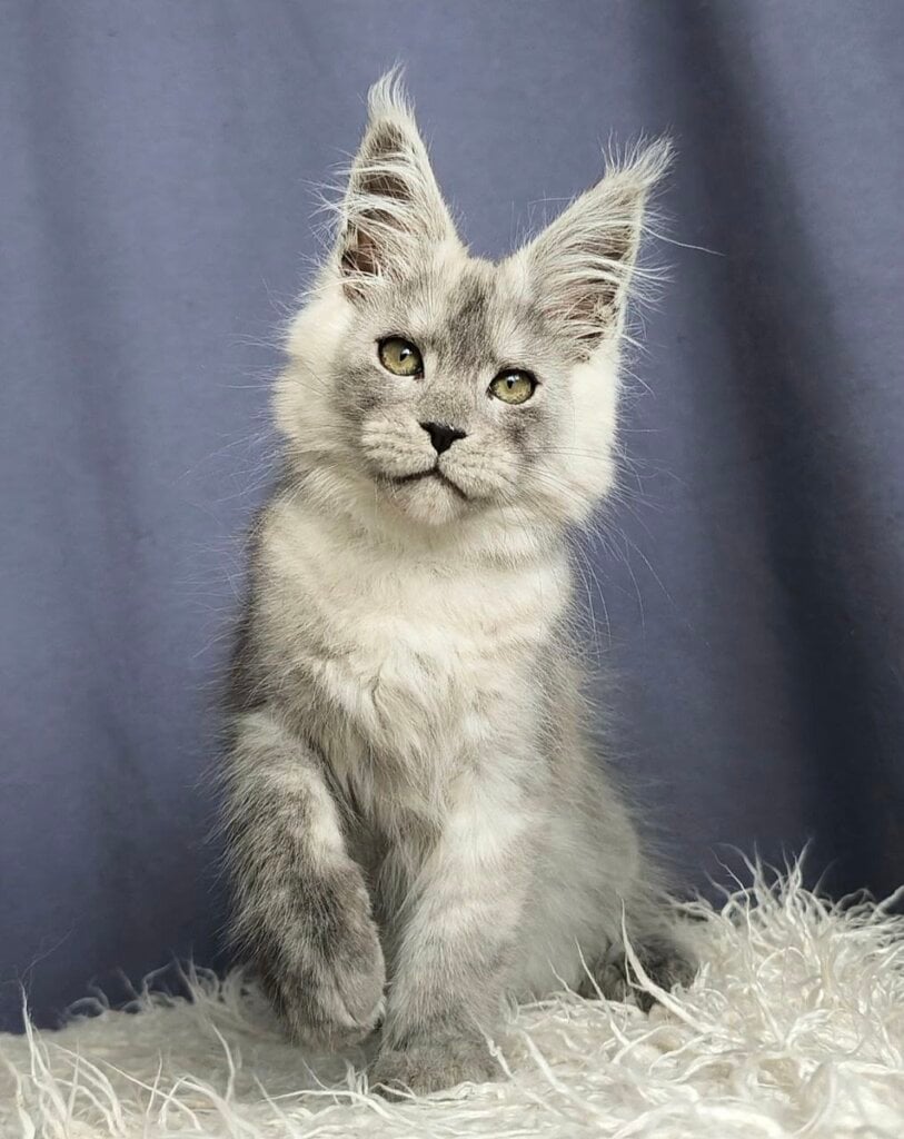 Photo 2026 02 08 15 59 27 2