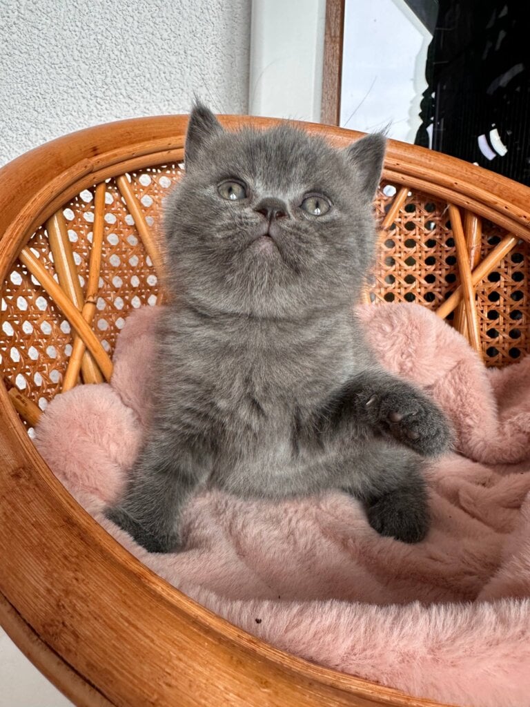 Photo 2026 02 08 16 00 26