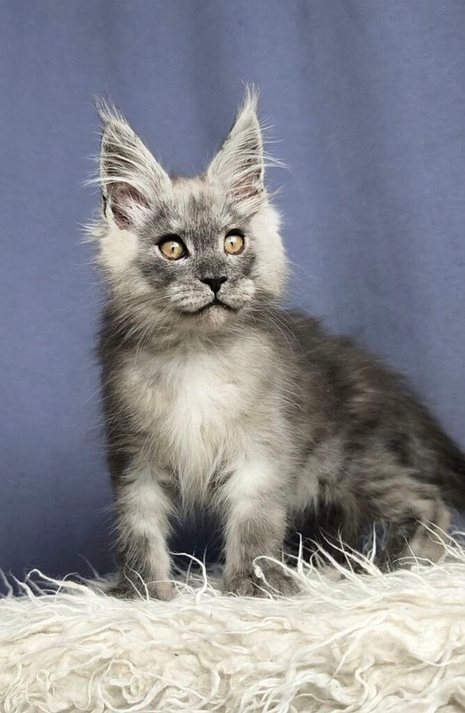 Photo 2026 02 08 16 01 53