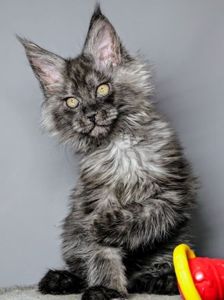 Photo 2026 02 08 18 37 03