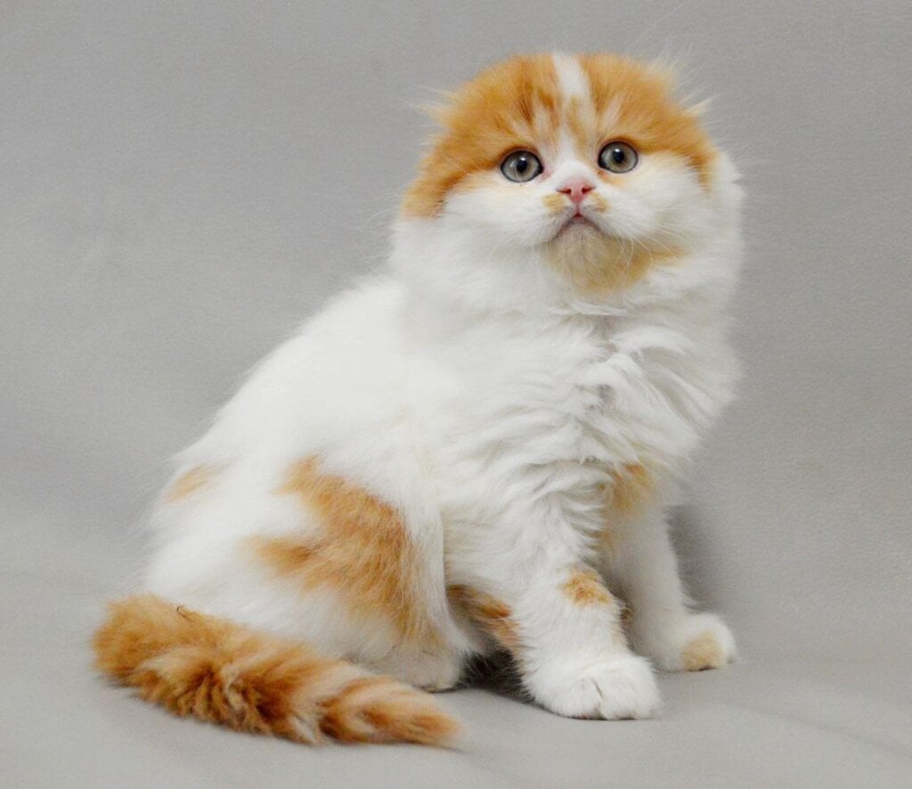 Photo 2026 02 09 09 37 25 2