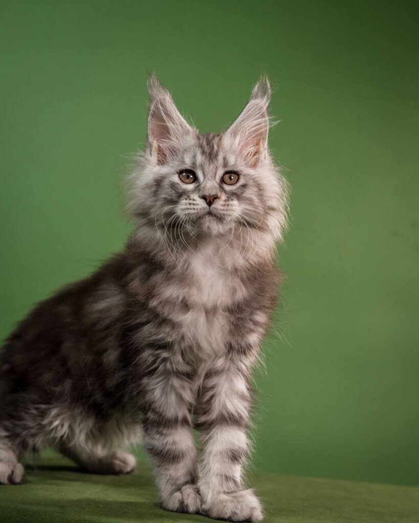 Photo 2026 02 09 16 48 20 3