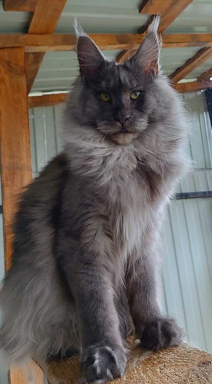 Photo 2026 02 09 19 55 29