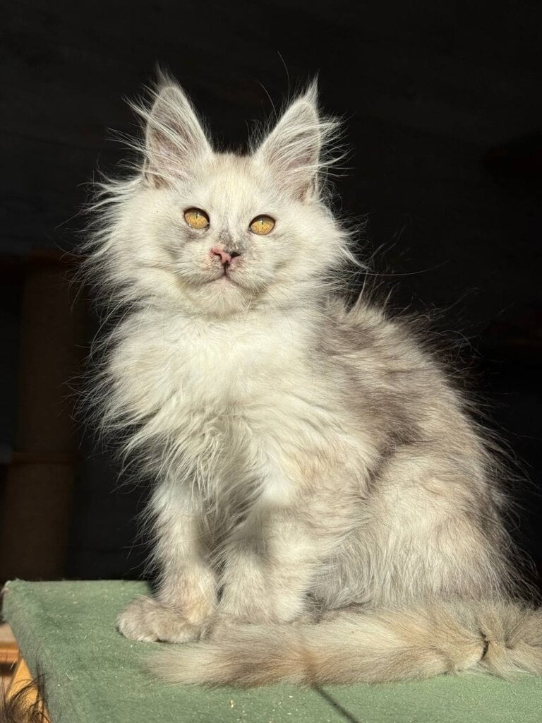 Photo 2026 02 09 20 18 06