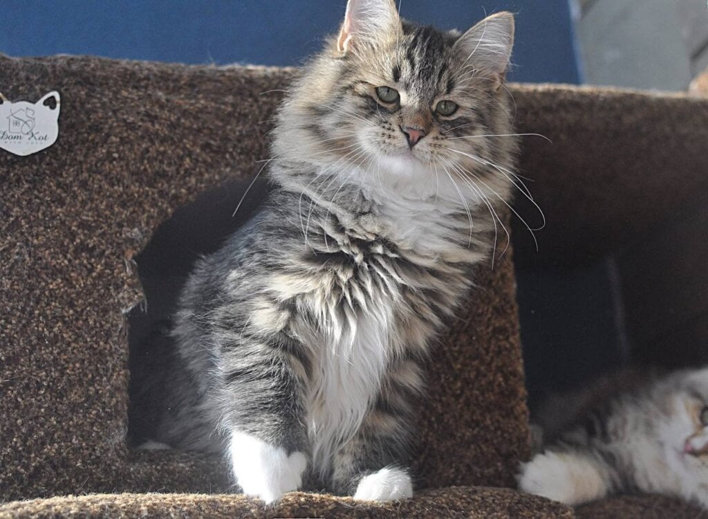 Photo 2026 02 10 08 11 44