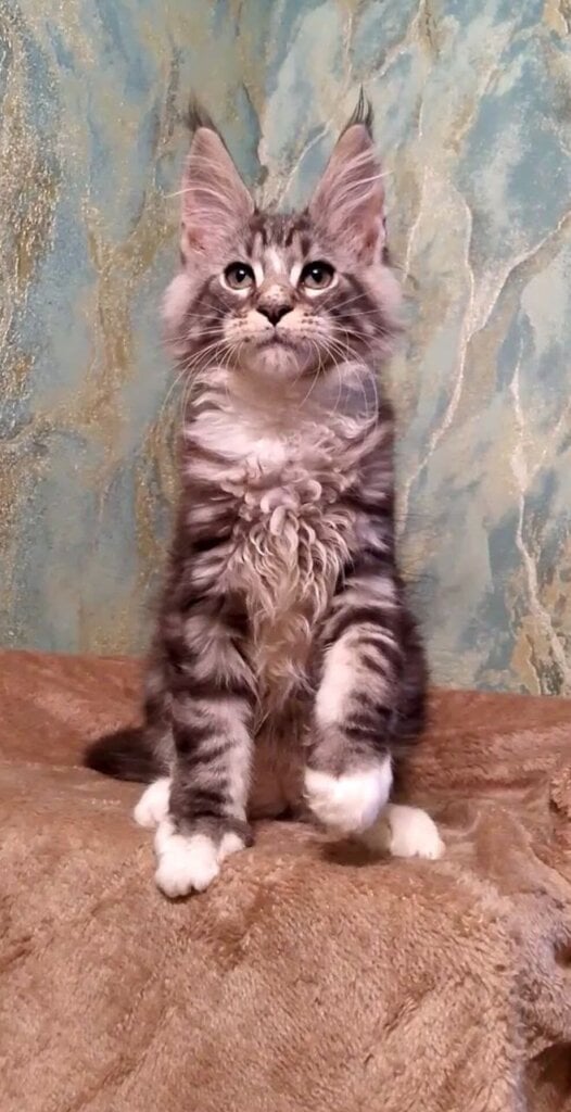 Photo 2026 02 10 15 41 54