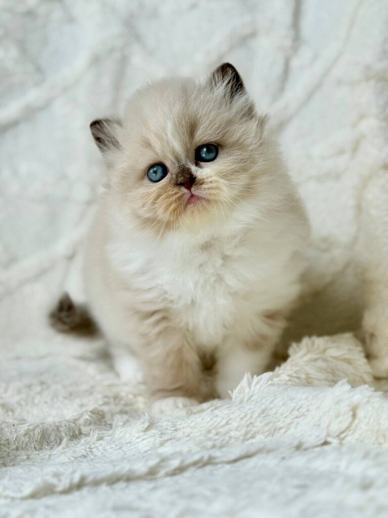 Photo 2026 02 11 17 33 10