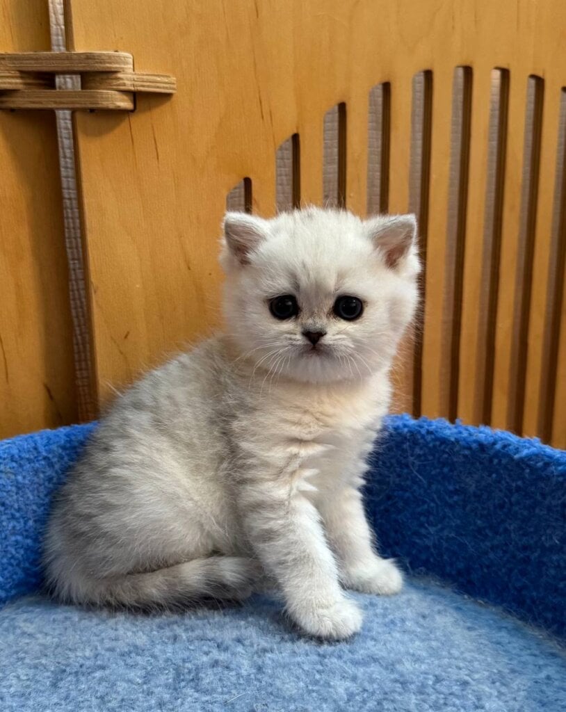 Photo 2026 02 12 09 31 40