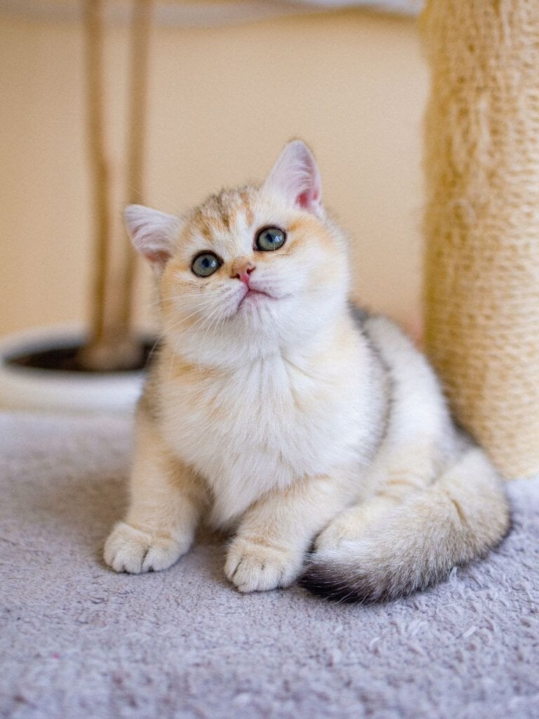 Photo 2026 02 12 11 18 32