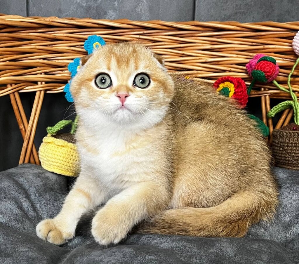 Photo 2026 02 12 18 26 31