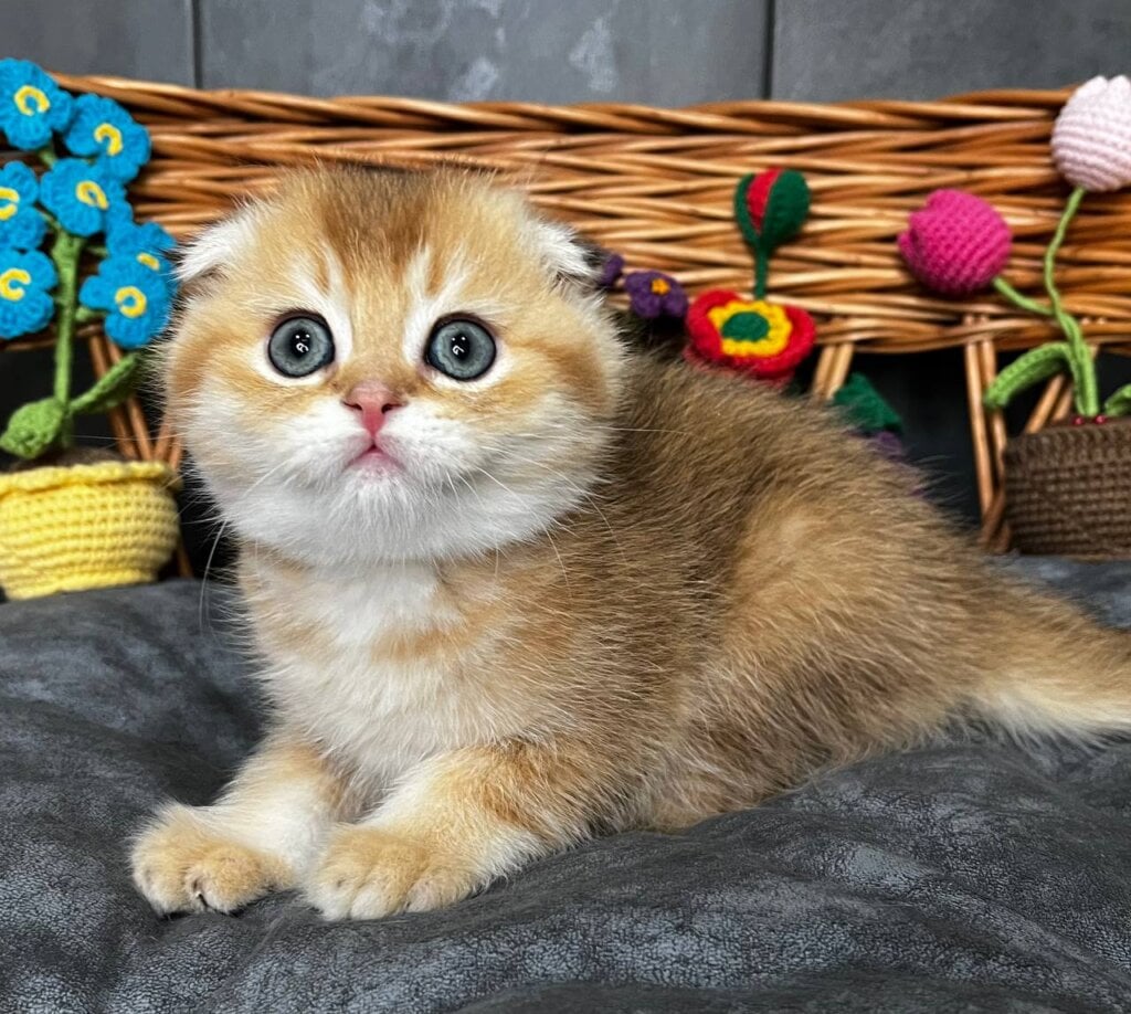 Photo 2026 02 12 23 32 43