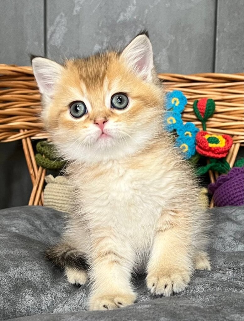 Photo 2026 02 12 23 49 56