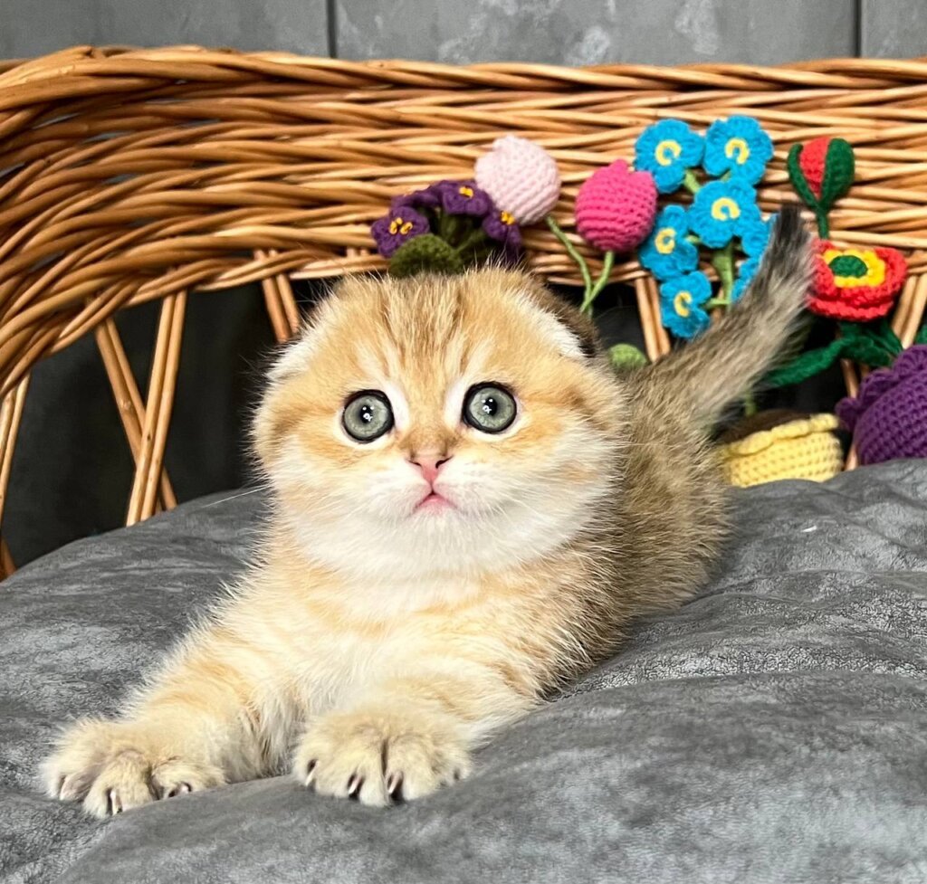 Photo 2026 02 13 14 09 44