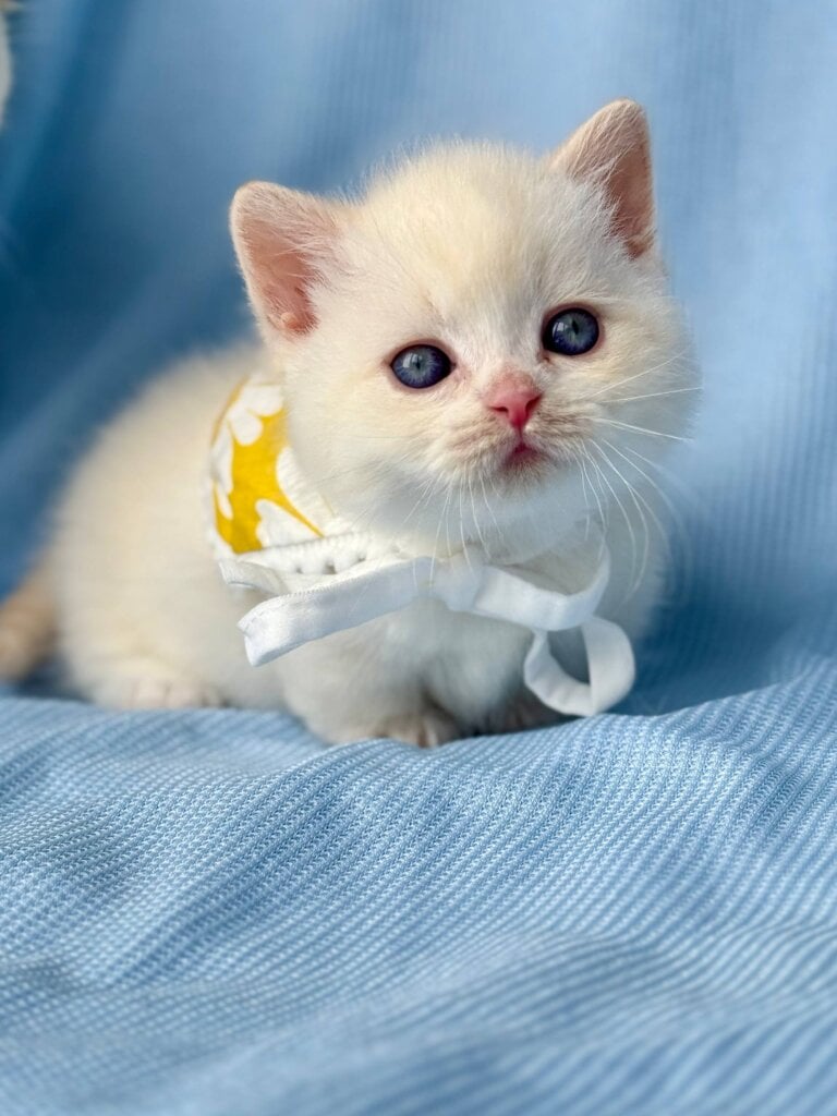 Photo 2026 02 13 14 35 45 2