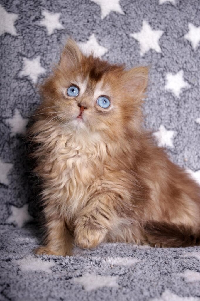 Photo 2026 02 13 17 04 22