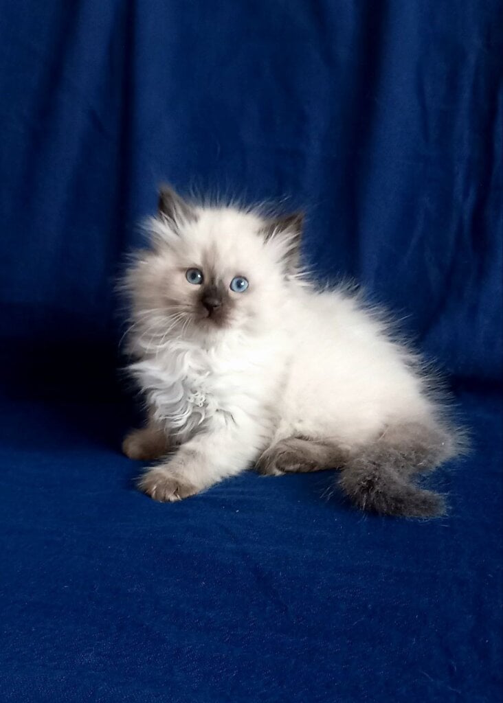 Photo 2026 02 13 20 11 26