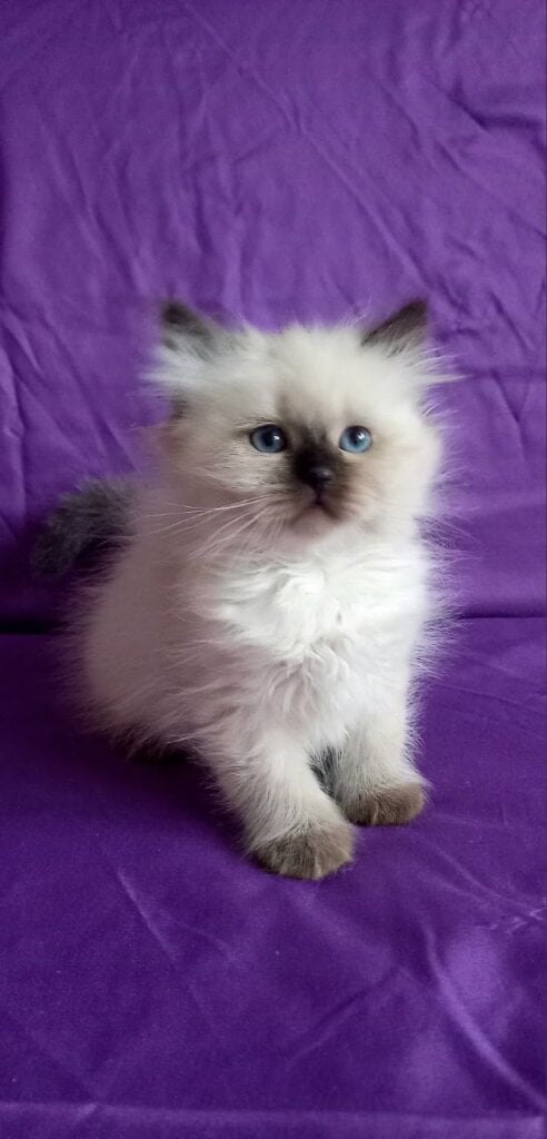 Photo 2026 02 13 20 15 18