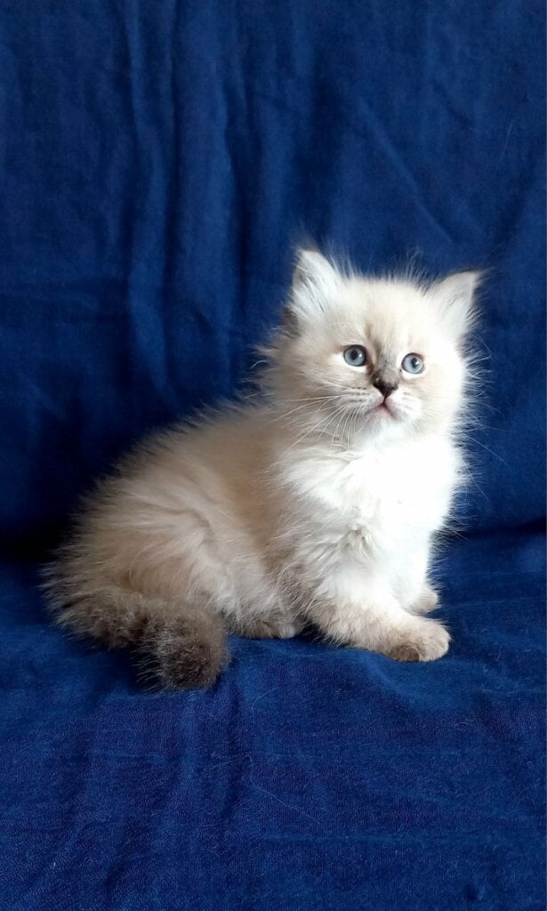 Photo 2026 02 13 20 21 34