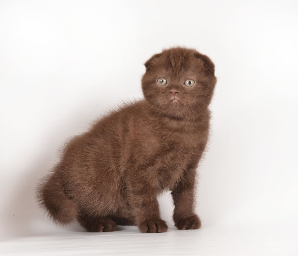 Photo 2026 02 15 15 48 36