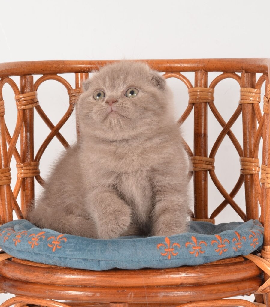 Photo 2026 02 15 15 50 05