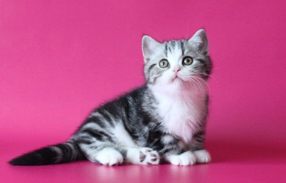 Photo 2026 02 16 09 34 40