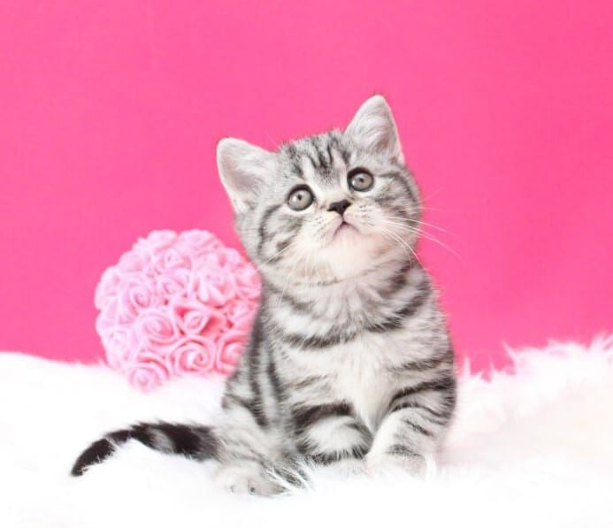 Photo 2026 02 16 09 35 48 5