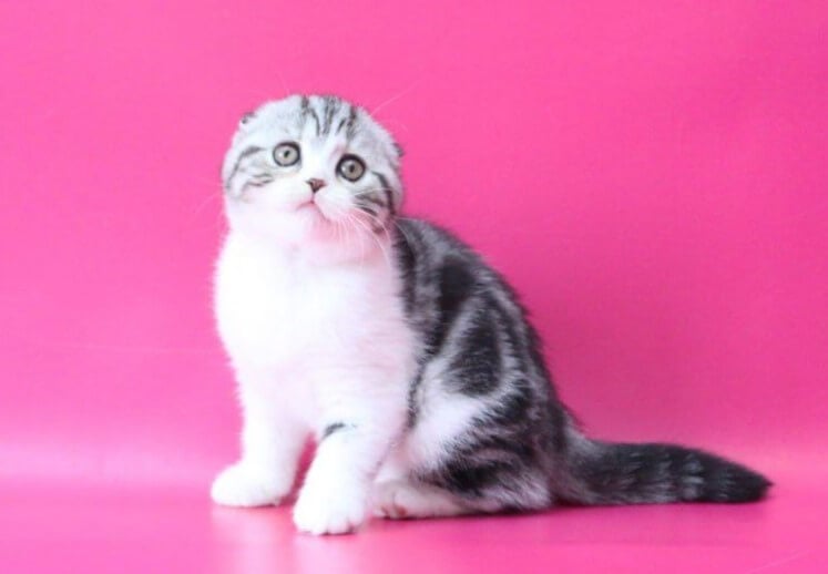 Photo 2026 02 16 09 37 20 4