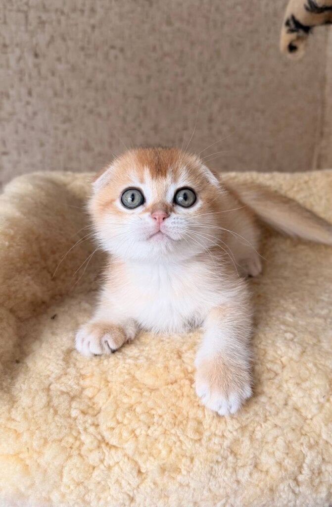 Photo 2026 02 16 14 45 05