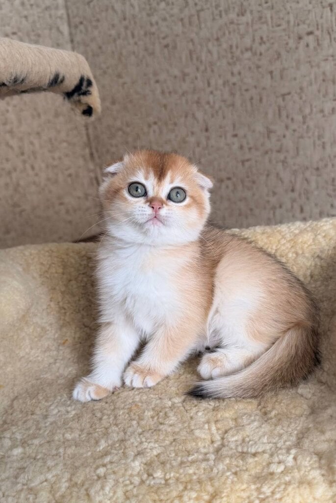 Photo 2026 02 16 14 47 46