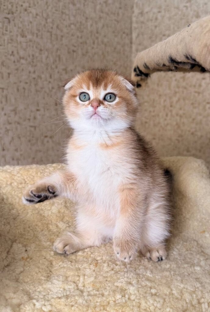 Photo 2026 02 16 14 49 35