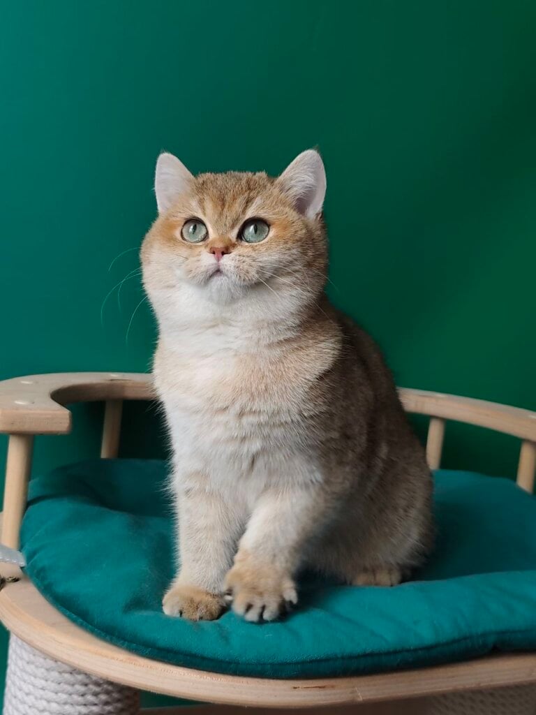 Photo 2026 02 16 15 21 18