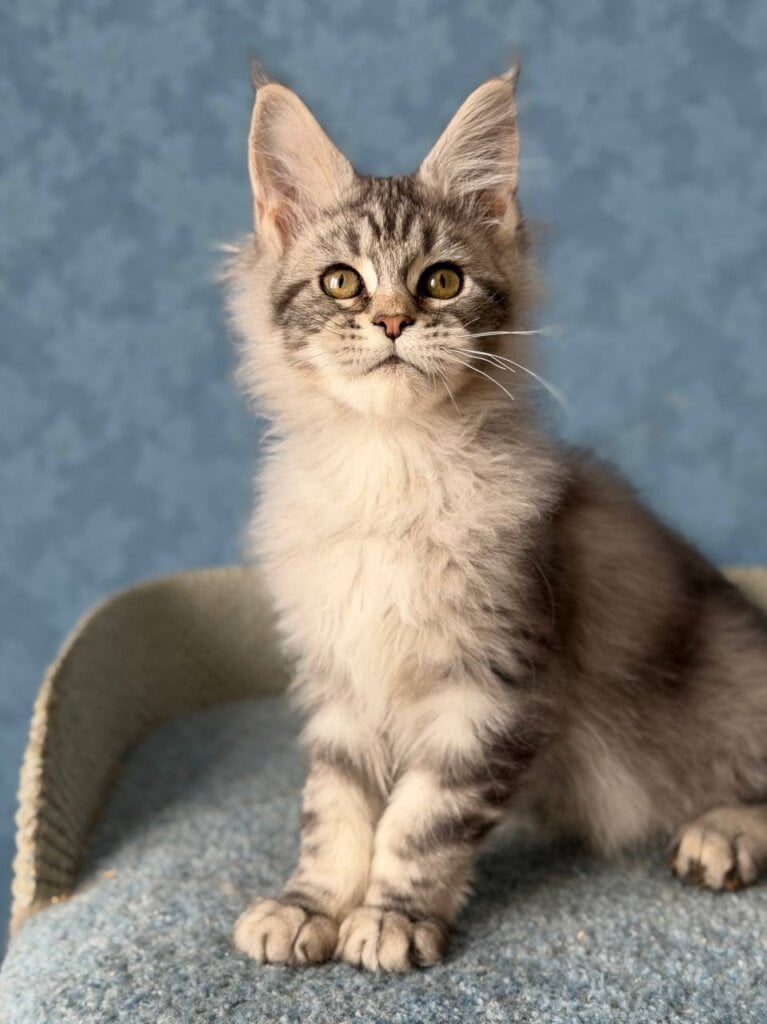 Photo 2026 02 16 18 26 37