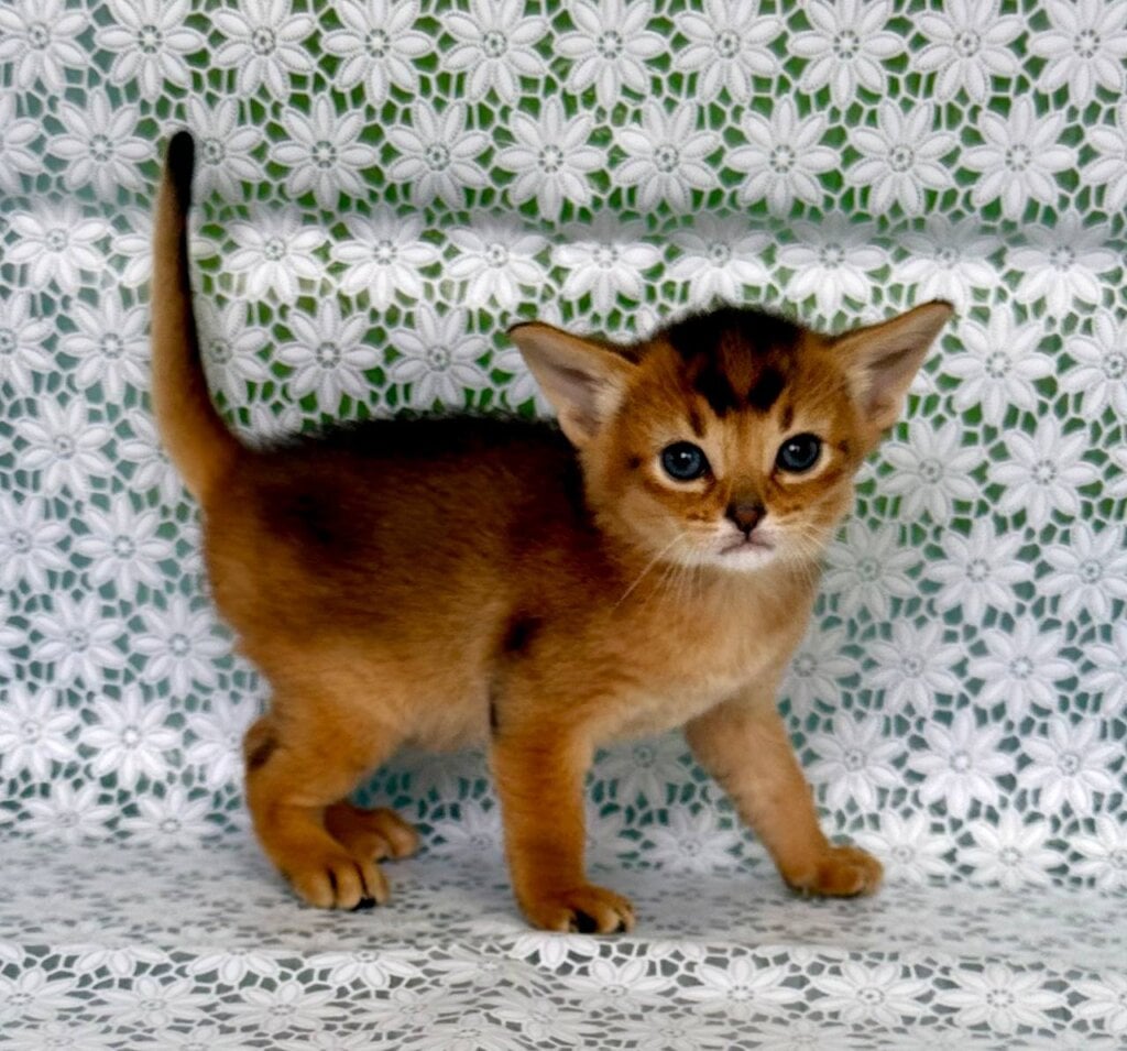 Photo 2026 02 17 18 03 37