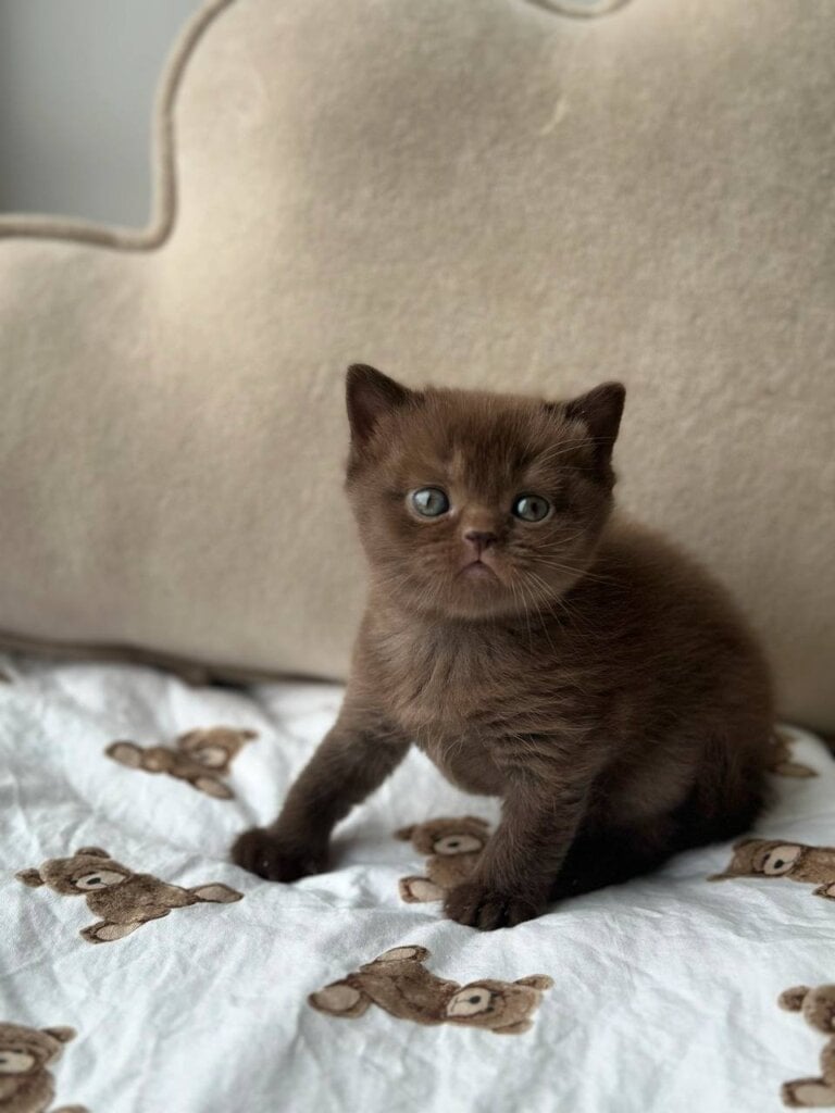 Photo 2026 02 18 11 34 03