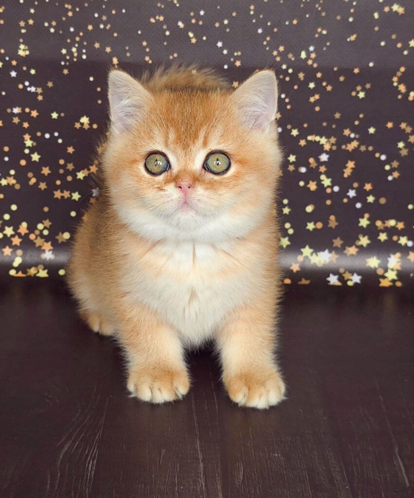 Photo 2026 02 18 14 54 40