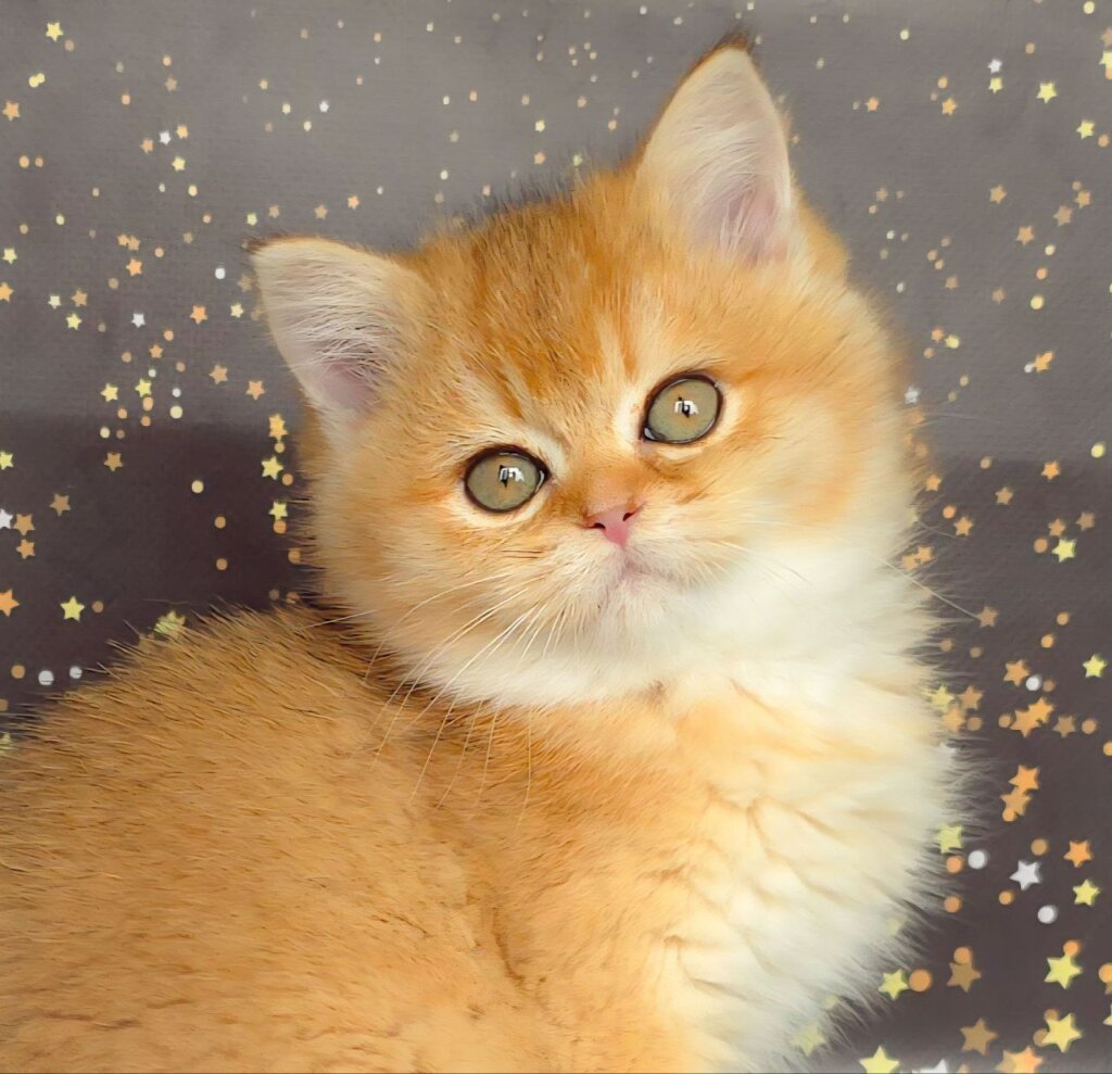 Photo 2026 02 18 15 36 54