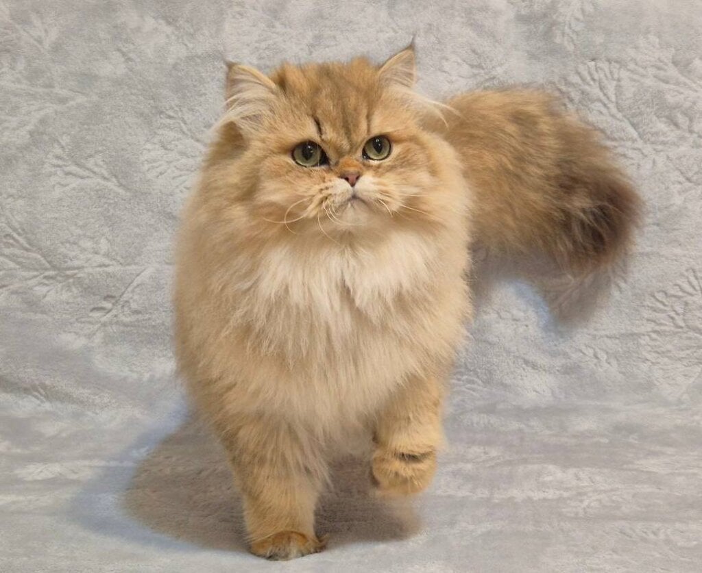 Photo 2026 02 19 20 29 05 2