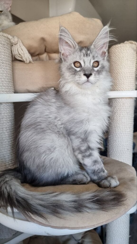 Photo 2026 02 21 14 18 10 2