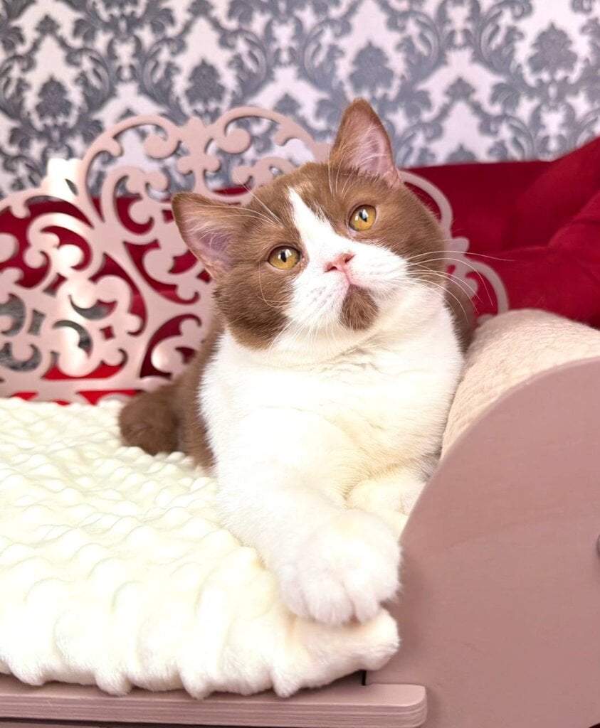 Photo 2026 02 21 16 43 53 2