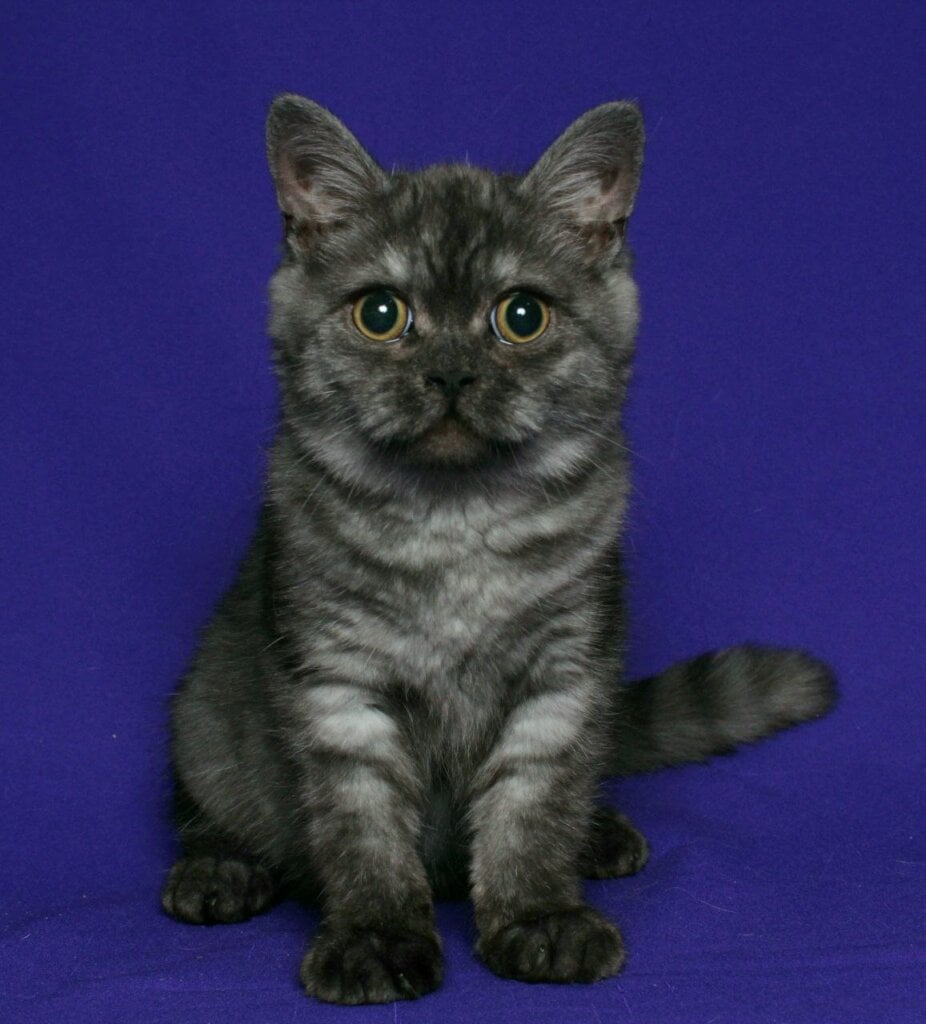 Photo 2026 02 21 19 35 08